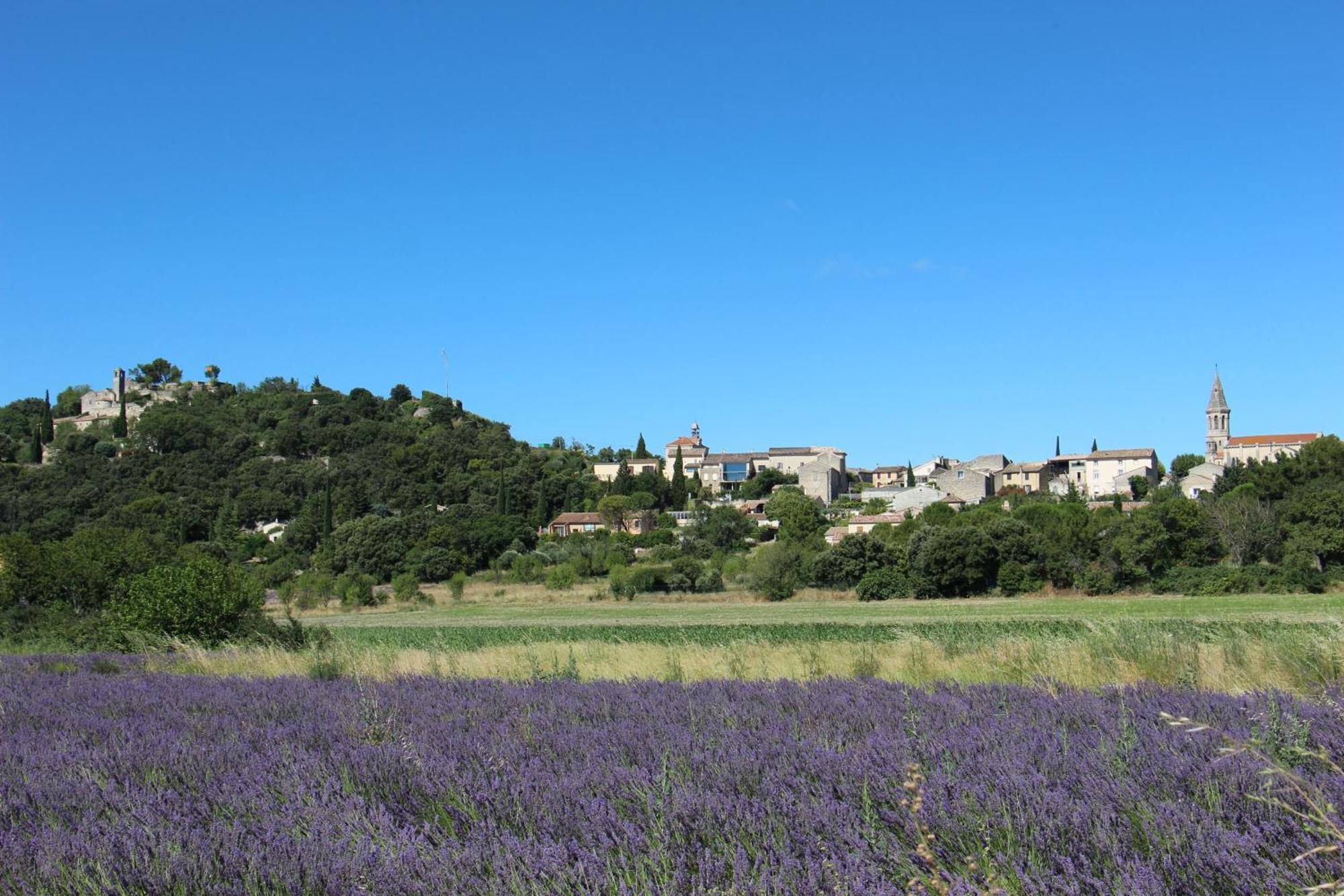 Le Pigeonnier, Gite Des Lucioles En Provence Villa Montségur-sur-Lauzon Buitenkant foto